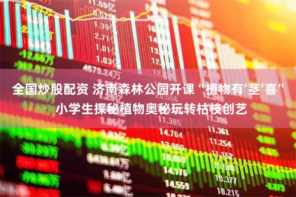 全国炒股配资 济南森林公园开课“植物有‘茎’喜”  小学生探秘植物奥秘玩转枯枝创艺