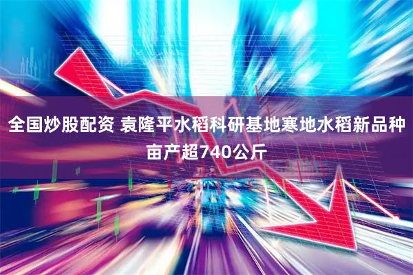 全国炒股配资 袁隆平水稻科研基地寒地水稻新品种亩产超740公斤