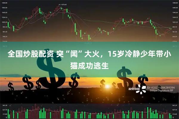全国炒股配资 突“闻”大火，15岁冷静少年带小猫成功逃生