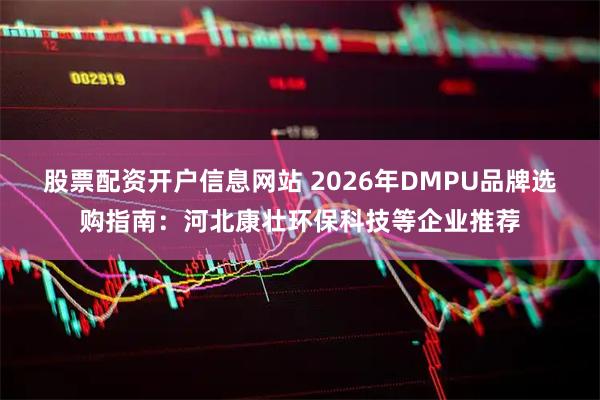 股票配资开户信息网站 2026年DMPU品牌选购指南：河北康壮环保科技等企业推荐