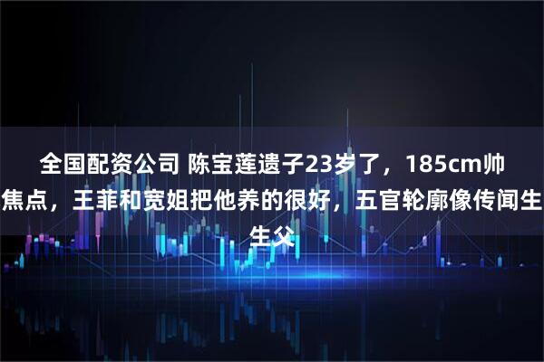 全国配资公司 陈宝莲遗子23岁了，185cm帅成焦点，王菲和宽姐把他养的很好，五官轮廓像传闻生父