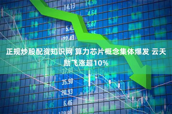 正规炒股配资知识网 算力芯片概念集体爆发 云天励飞涨超10%
